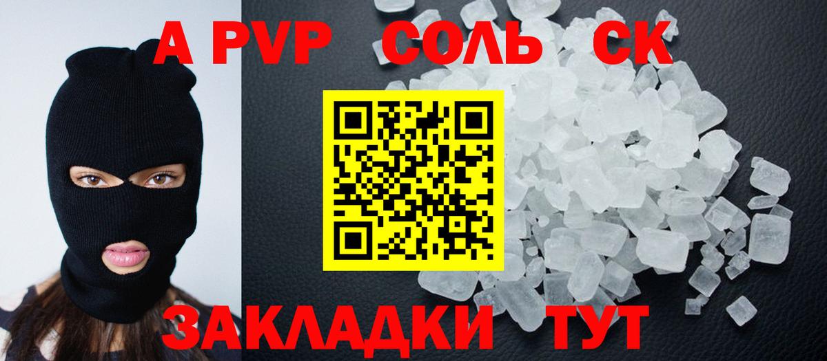 Альфа ПВП СК Курчалой