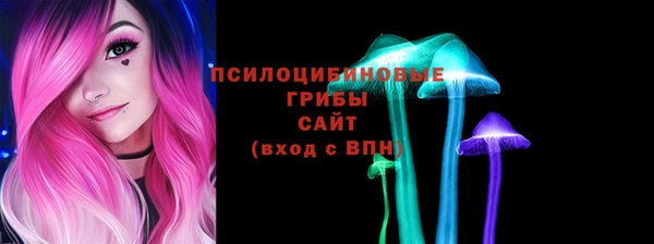 крисы Алексин