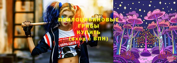 а пвп мука Алзамай
