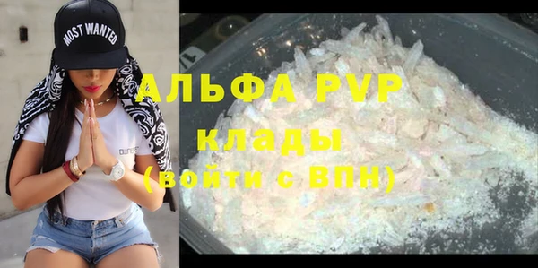 крисы Алексин