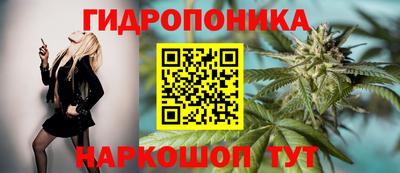 ГАЛЛЮЦИНОГЕННЫЕ ГРИБЫ Канаш