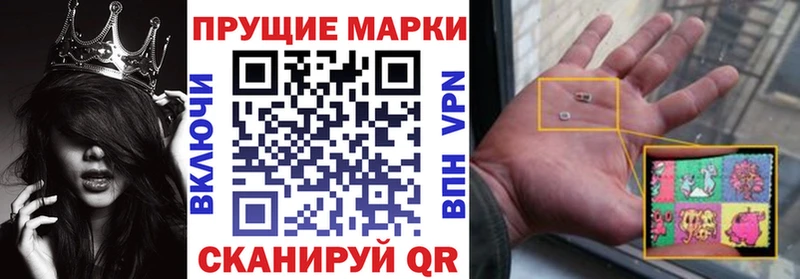Марки NBOMe 1,5мг OMG ONION Курчалой