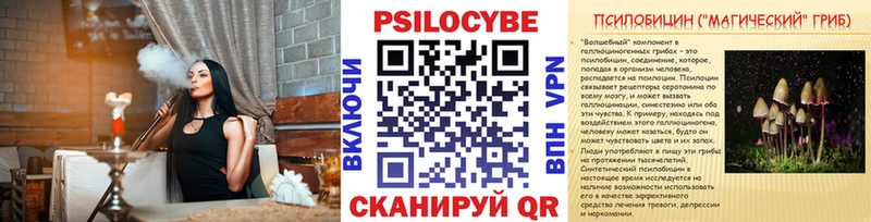 Псилоцибиновые грибы GOLDEN TEACHER Курчалой