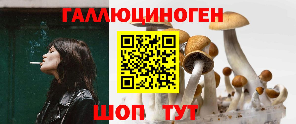 Галлюциногенные грибы Psilocybe  Псилоцибиновые грибы MAGIC MUSHROOMS  Вход с VPN  Курчалой 
