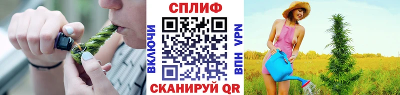 купить наркоту  Курчалой  МАРИХУАНА THC 21% 