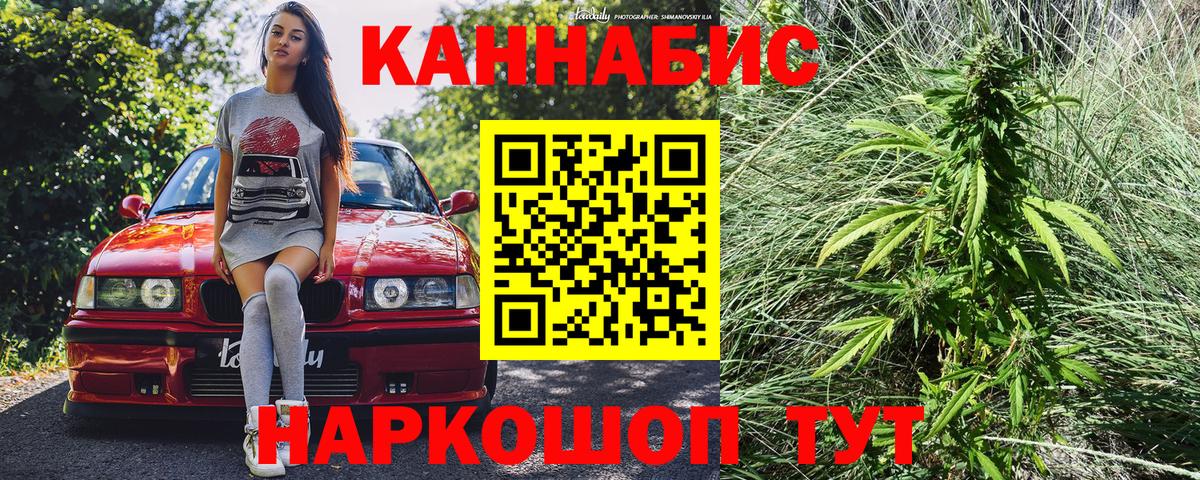 Бошки Шишки OG Kush Курчалой